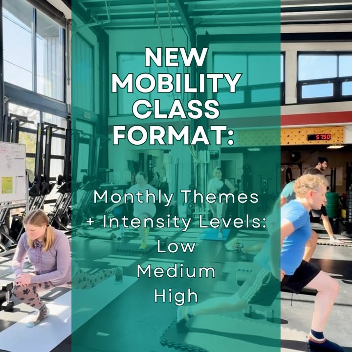 You are currently viewing Monthly Mobility Focus at GLSC