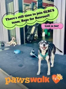 Join Harrison Edell and GLSC for PAWSwalk