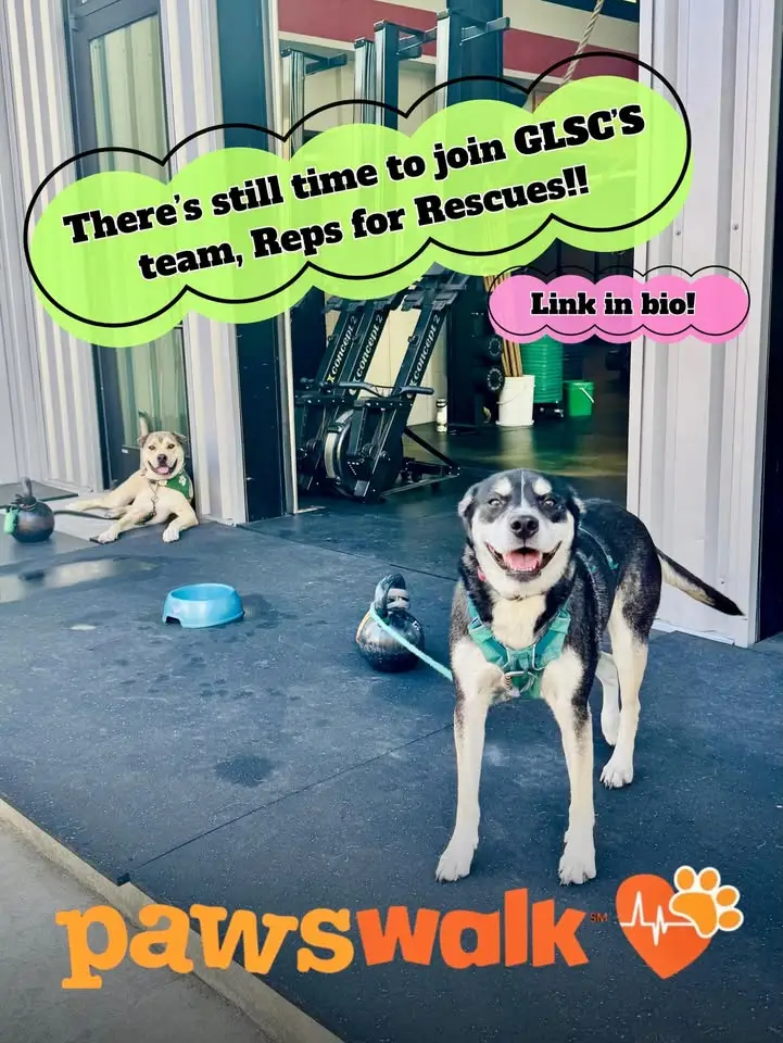 You are currently viewing Join Harrison Edell and GLSC for PAWSwalk