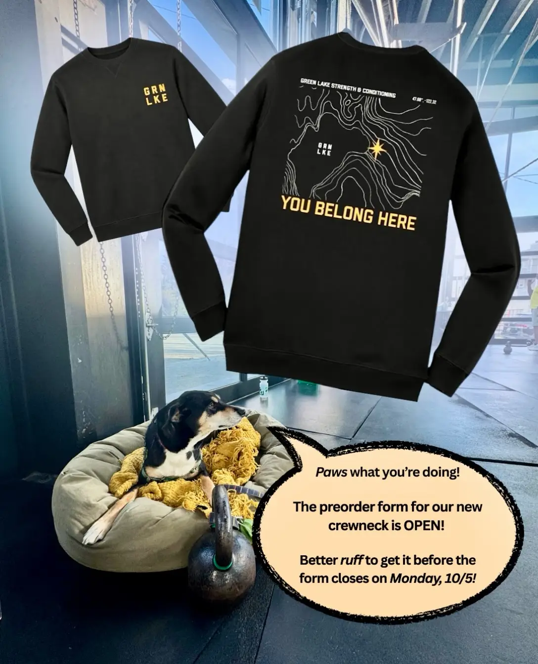 You are currently viewing GLSC Sweatshirt Pre-order: You Belong Here Design